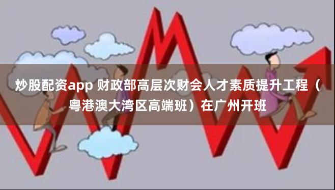炒股配资app 财政部高层次财会人才素质提升工程(粤港澳大湾区高端班)在广州开班