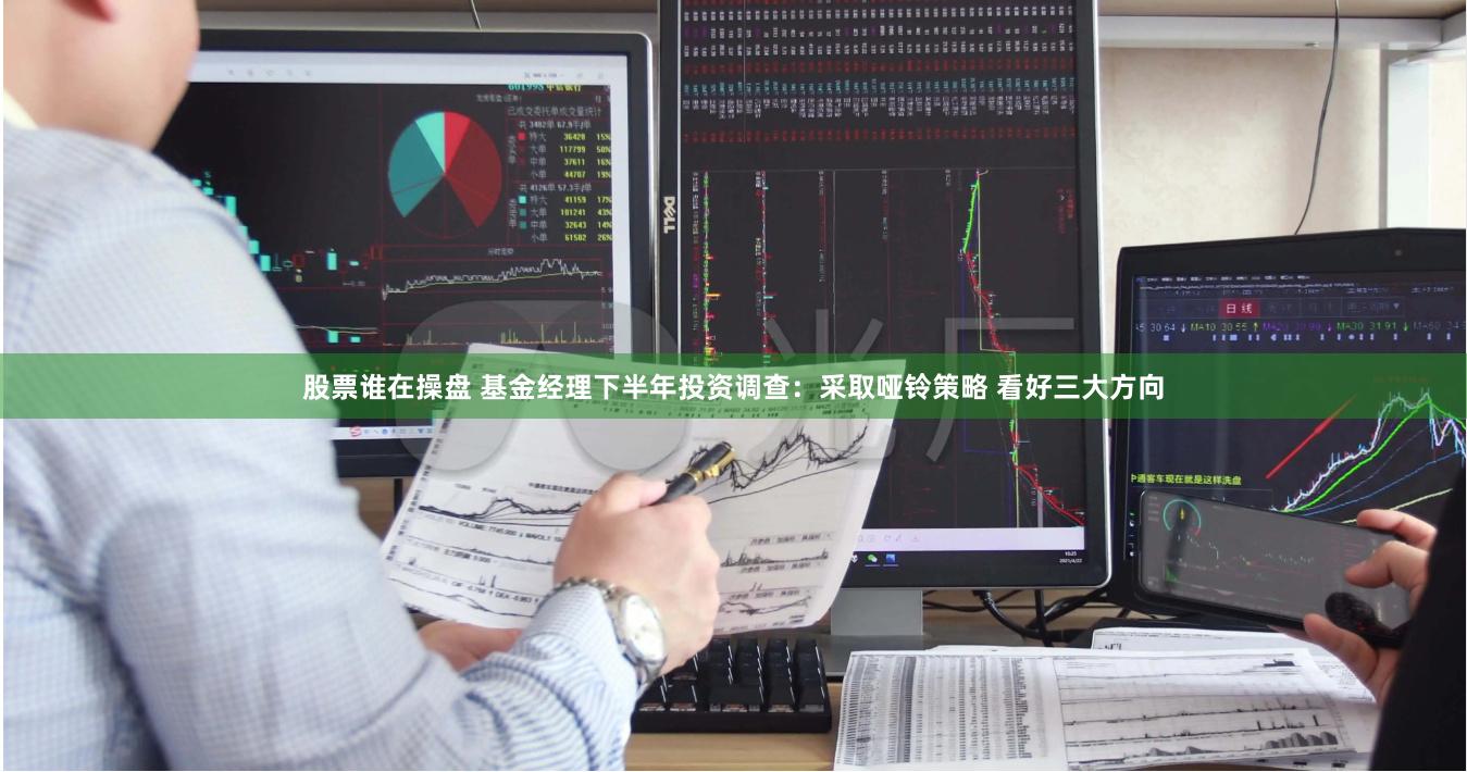 股票谁在操盘 基金经理下半年投资调查:采取哑铃策略 看好三大方向