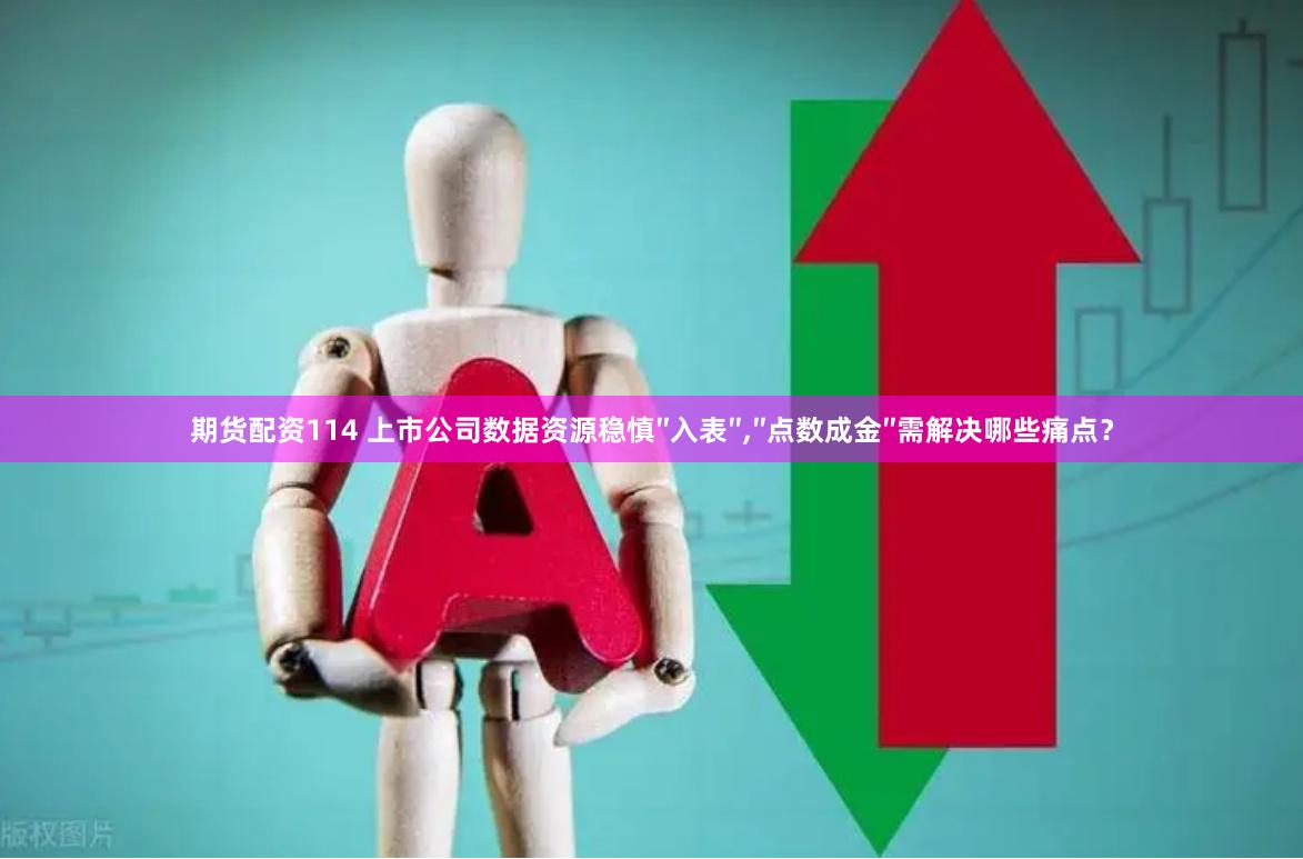 期货配资114 上市公司数据资源稳慎″入表″,″点数成金″需解决哪些痛点?