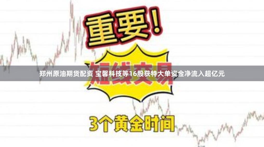 郑州原油期货配资 宝馨科技等16股获特大单资金净流入超亿元