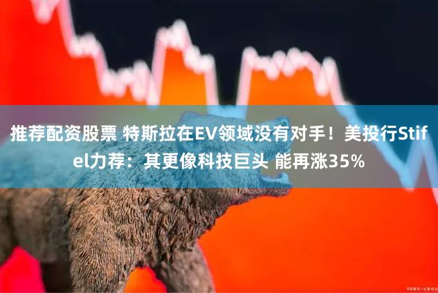 推荐配资股票 特斯拉在EV领域没有对手!美投行Stifel力荐:其更像科技巨头 能再涨35%