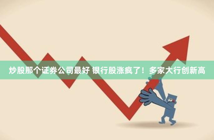 炒股那个证券公司最好 银行股涨疯了!多家大行创新高