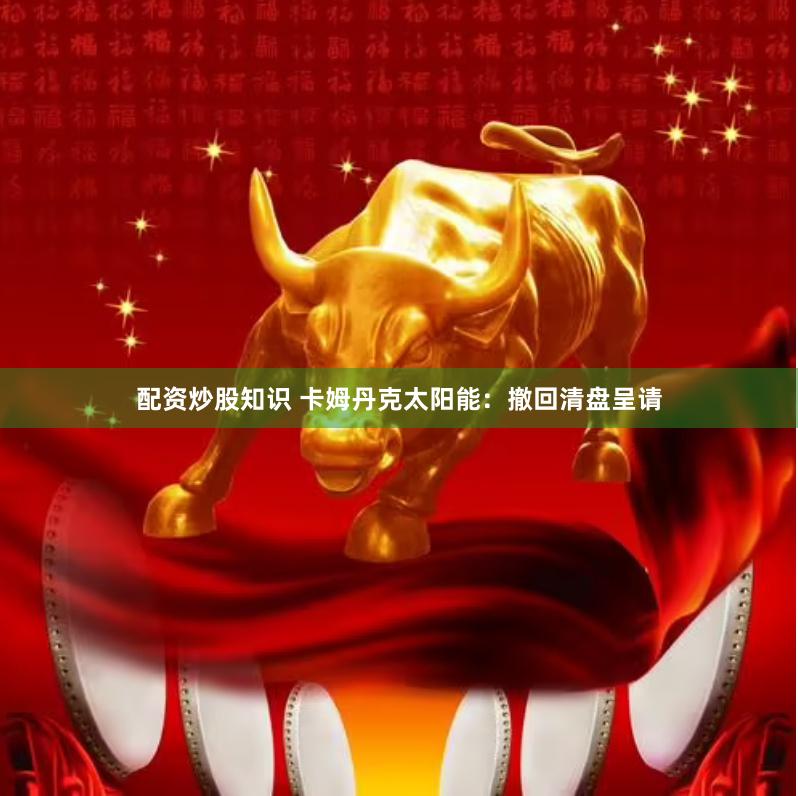 配资炒股知识 卡姆丹克太阳能：撤回清盘呈请