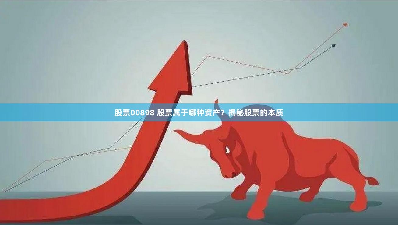 股票00898 股票属于哪种资产?揭秘股票的本质