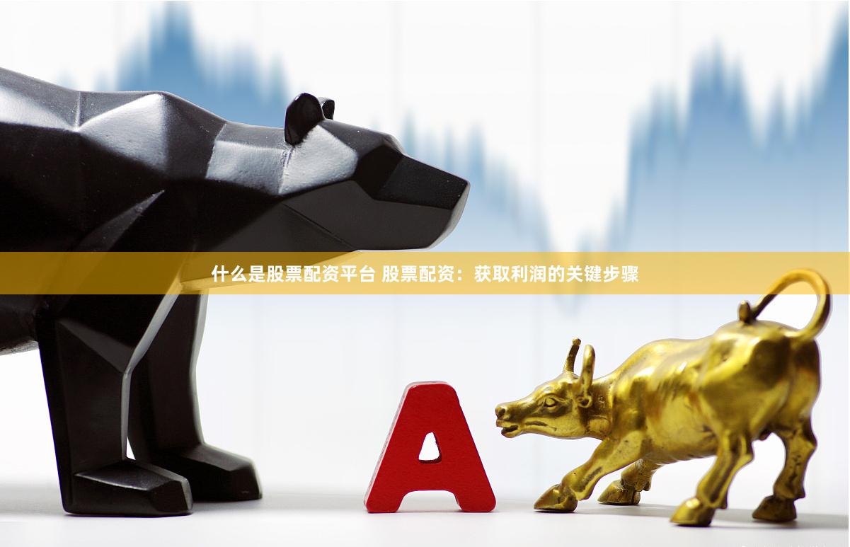 什么是股票配资平台 股票配资:获取利润的关键步骤