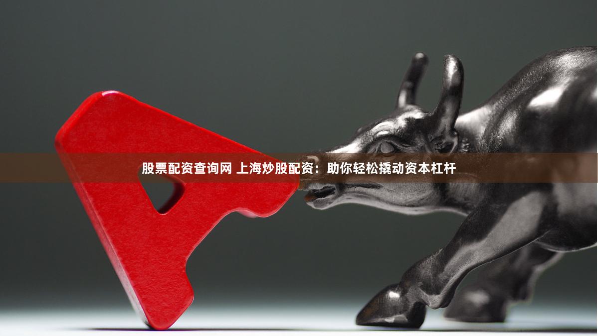 股票配资查询网 上海炒股配资:助你轻松撬动资本杠杆