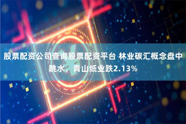 股票配资公司查询股票配资平台 林业碳汇概念盘中跳水，青山纸业跌2.13%
