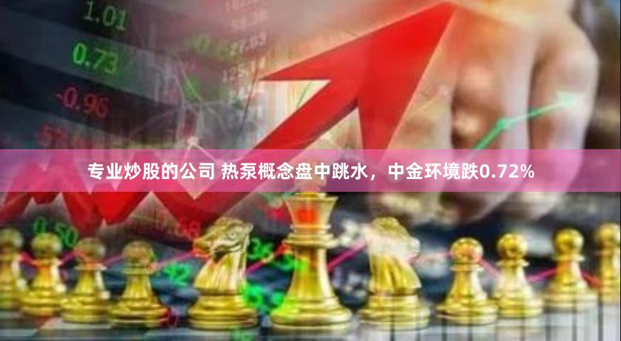 专业炒股的公司 热泵概念盘中跳水，中金环境跌0.72%