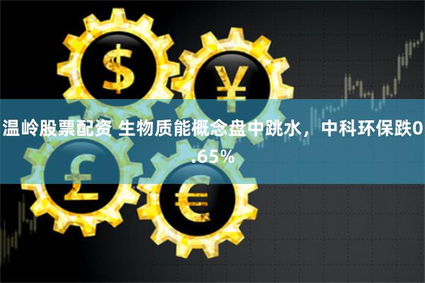 温岭股票配资 生物质能概念盘中跳水，中科环保跌0.65%