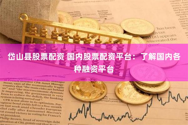 岱山县股票配资 国内股票配资平台：了解国内各种融资平台