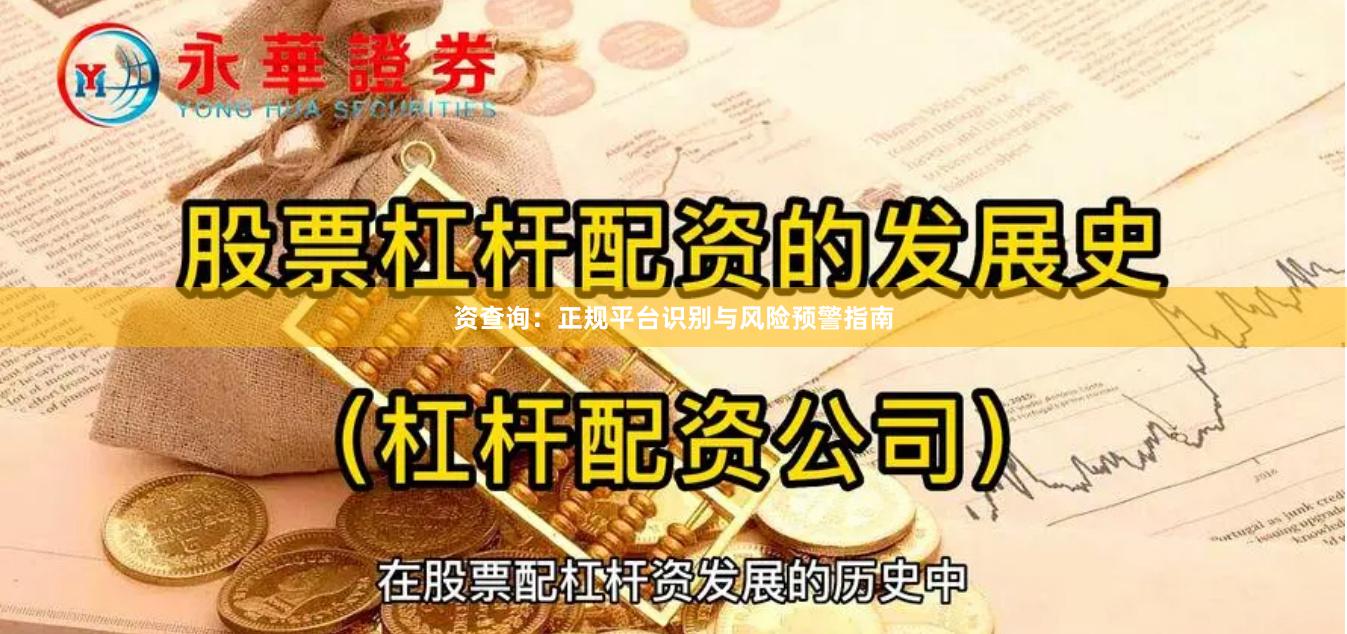资查询：正规平台识别与风险预警指南